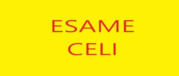 Esami CELI 22 giugno 2021